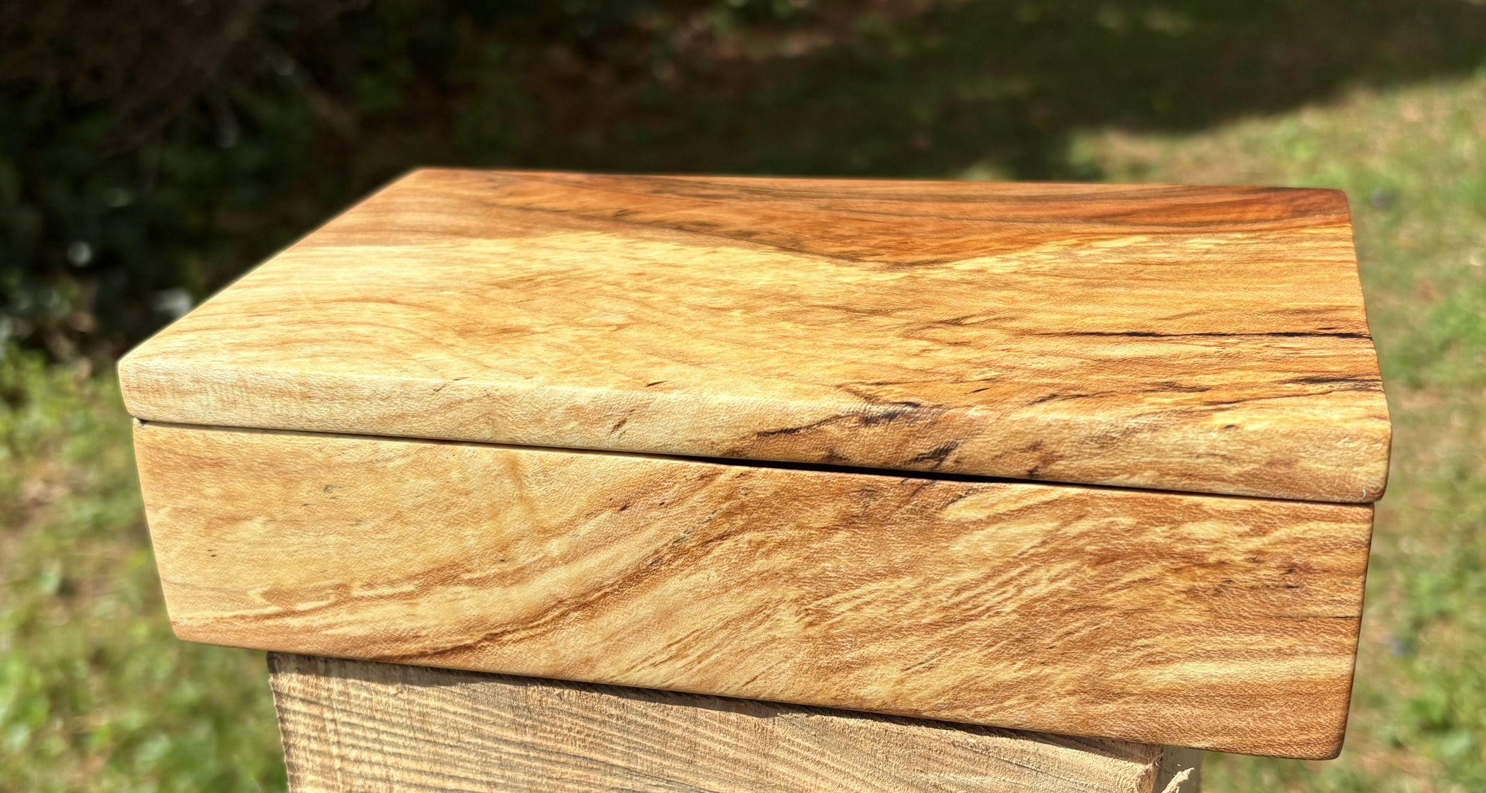 The closed spalted maple jewelry box on a wooden plinth in the garden, sunlight catching the dark figure on the lid.